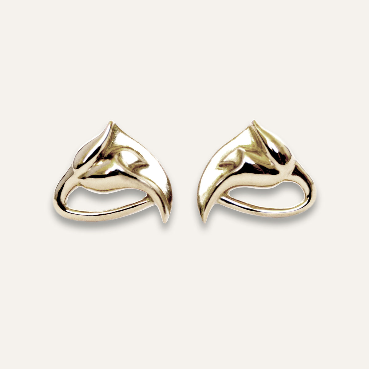 Puces d'oreilles Arums